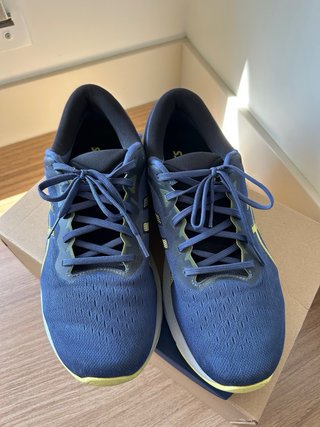 Zapatillas Asics gel pluse 13