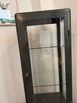 Vitrina Ikea FABRIKÖR gris metal y cristal.