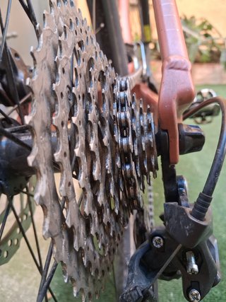 Orbea Onna 30 2022 Ruedas 29