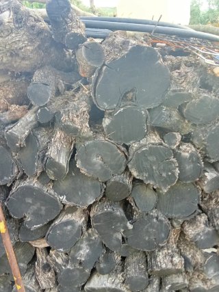 Leña de olivo para chimenea