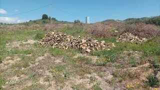 Leña de olivo para chimenea