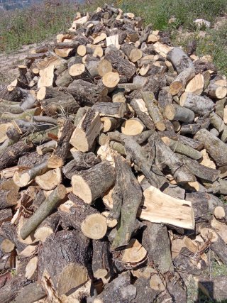 Leña de olivo para chimenea