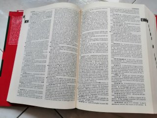 Dizionario italiano vintage ( De Agostini)