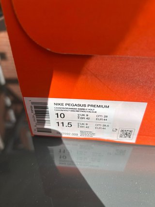 Nike Pegasus Premium Verde/Azul