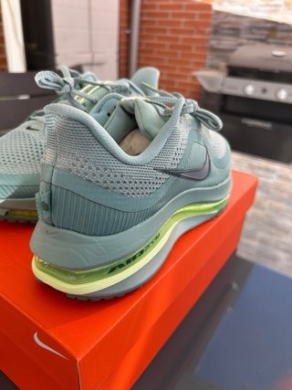 Nike Pegasus Premium Verde/Azul