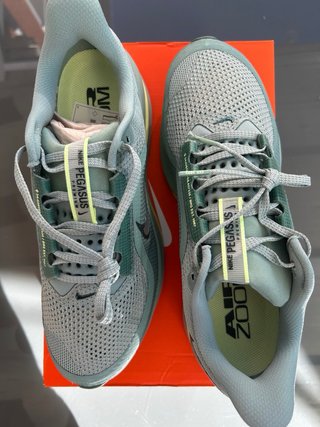 Nike Pegasus Premium Verde/Azul