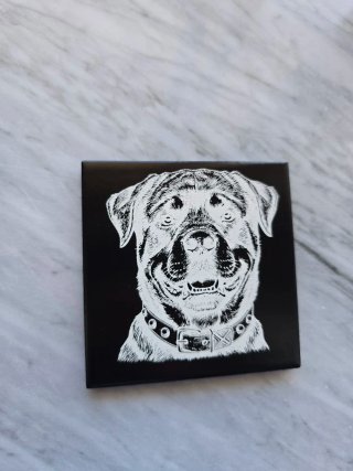 Mattonella Incisa Rottweiler