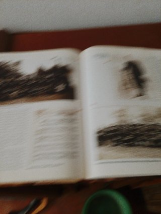 El Libro de Oro de Córdoba