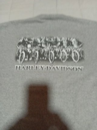 Camiseta Harley-Davidson Gris