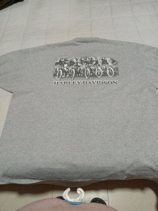 Camiseta Harley-Davidson Gris