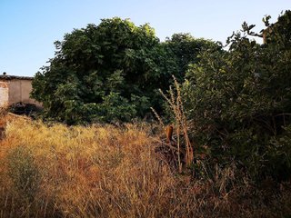 Terreno en venta en Tarazona de la Mancha