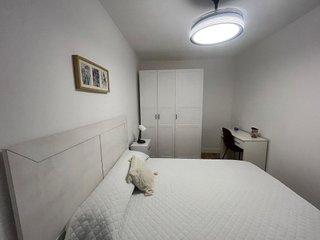 Piso en alquiler en Mentidero - Teatro Falla - Alameda en Cádiz