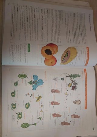 Biología, Geología y Ciencias Ambientales 1 Bac...