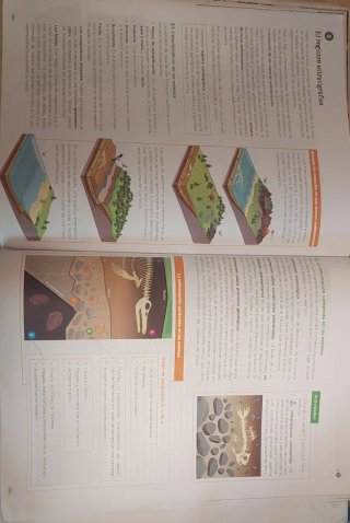 Biología, Geología y Ciencias Ambientales 1 Bac...