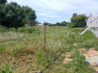 Solar en venta en Conil en Conil de la Frontera