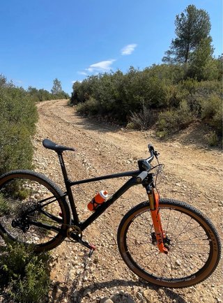 Bicicleta Giant XTC Advanced 29