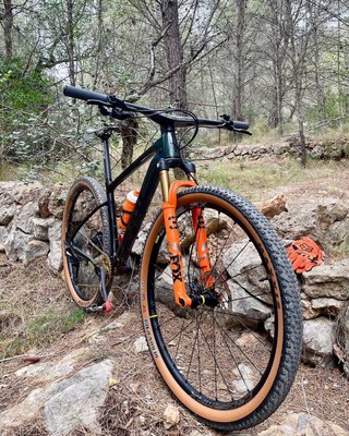 Bicicleta Giant XTC Advanced 29