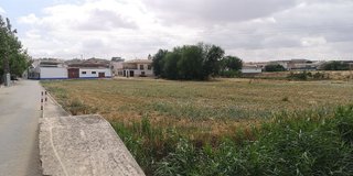 Terreno en venta en Tarazona de la Mancha