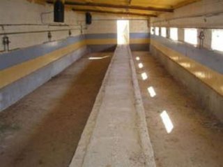 Nave industrial en venta en Soses