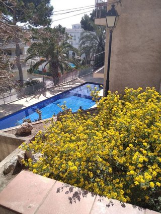 Edificio en venta en Torroella de Montgrí pueblo en Torroella de Montgrí