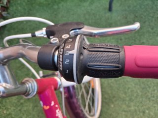 Bici 20 pulgadas 6-8 años