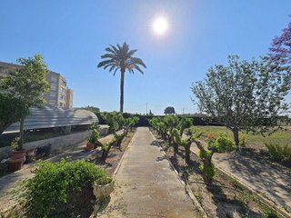 Chalet en alquiler en Las Bayas en Elche