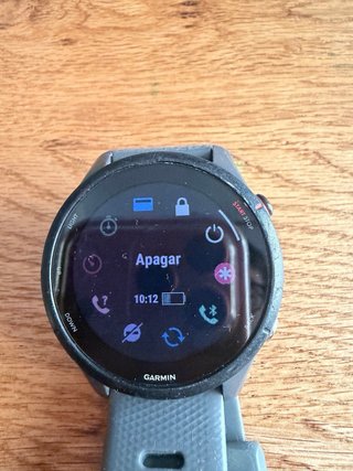 Reloj Garmin Forerunner 255 Gris
