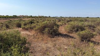 Terreno en venta en La Algoda - Matola - El Pla en Elche