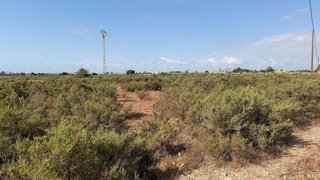 Terreno en venta en La Algoda - Matola - El Pla en Elche