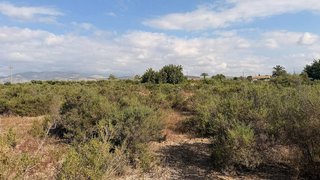 Terreno en venta en La Algoda - Matola - El Pla en Elche