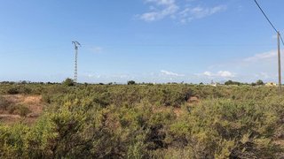 Terreno en venta en La Algoda - Matola - El Pla en Elche