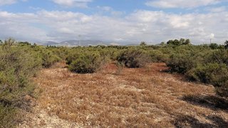 Terreno en venta en La Algoda - Matola - El Pla en Elche