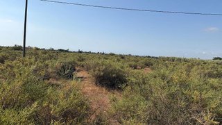 Terreno en venta en La Algoda - Matola - El Pla en Elche