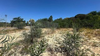 Terreno en venta en Palomares del Río
