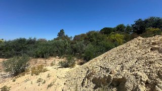 Terreno en venta en Palomares del Río