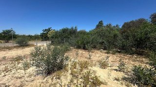 Terreno en venta en Palomares del Río