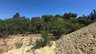 Terreno en venta en Palomares del Río