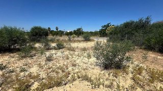 Terreno en venta en Palomares del Río