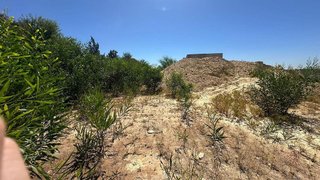 Terreno en venta en Palomares del Río
