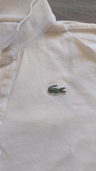 Polo Lacoste Sport bianco donna taglia 40