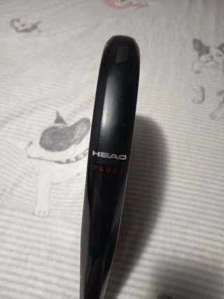 Pala Head Coello Motion 2025