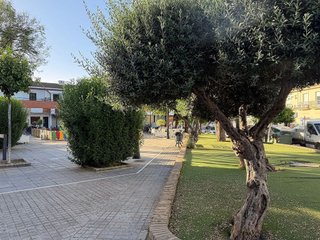 Local comercial en venta en Umbrete