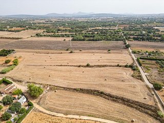 Solar en venta en Manacor Centro en Manacor