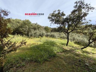 Solar en venta en Sagunto - Edisol en Córdoba