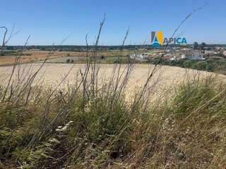 Terreno en venta en Las Lagunas - Campano en Chiclana de la Frontera