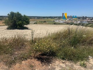 Terreno en venta en Las Lagunas - Campano en Chiclana de la Frontera