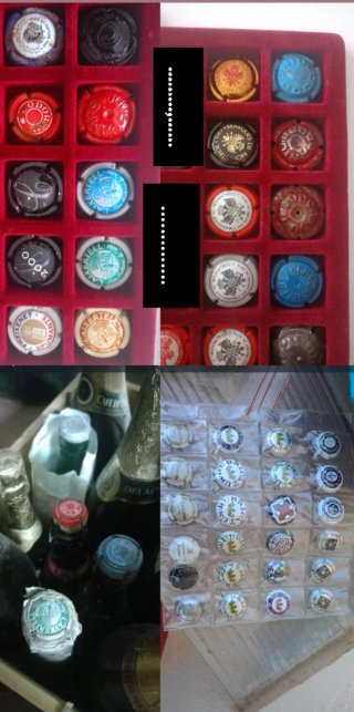 Colección Placas de Cava