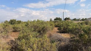 Terreno en venta en La Algoda - Matola - El Pla en Elche