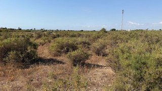 Terreno en venta en La Algoda - Matola - El Pla en Elche