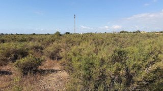 Terreno en venta en La Algoda - Matola - El Pla en Elche